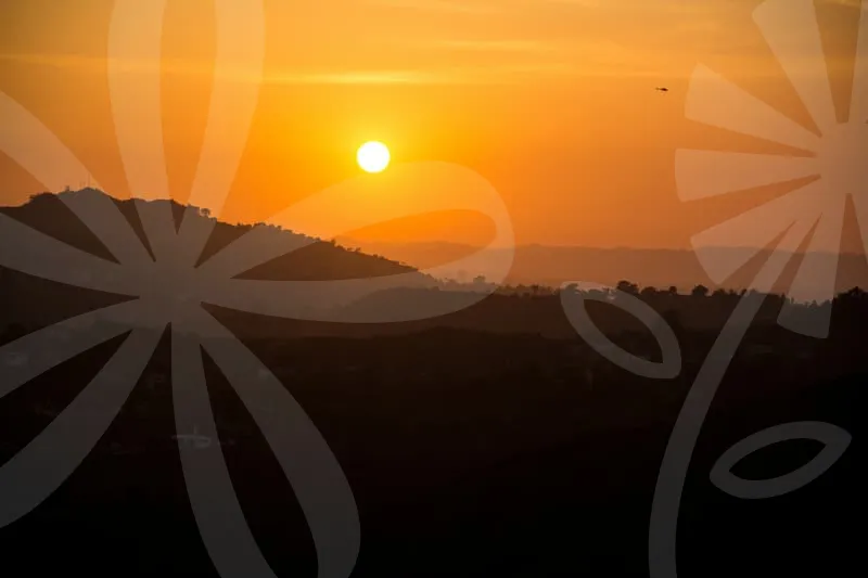 신용보증기금사업자대출