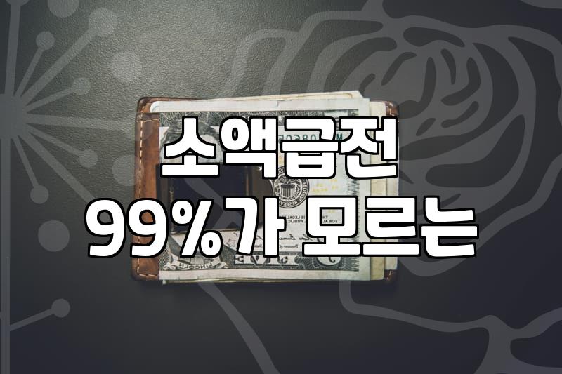 급전 필요할 때 알아야 할 현실적인 금융 정보