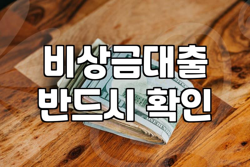 급한 마음에 열어본 비상금 대출 통장