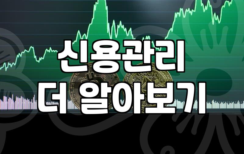 5000만원 대출 고민, 시스템의 숫자와 현실의 무게 사이에서