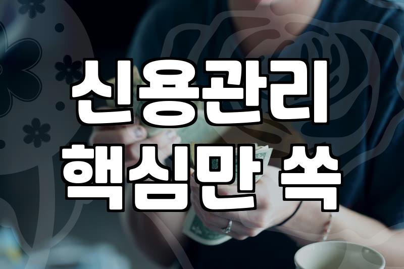 대출 문턱 앞에서 망설이는 당신에게: 현실적인 신용 관리와 대출의 이면