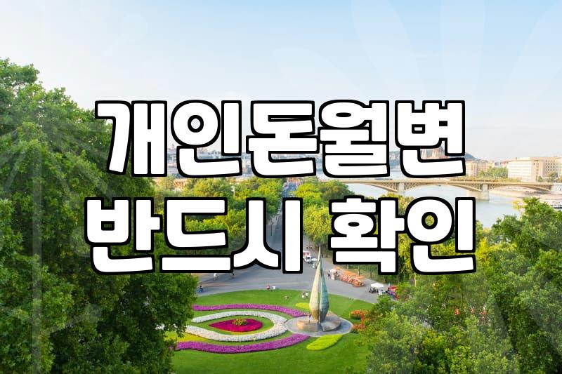 급한 마음에 검색했던 개인돈 월변의 기억