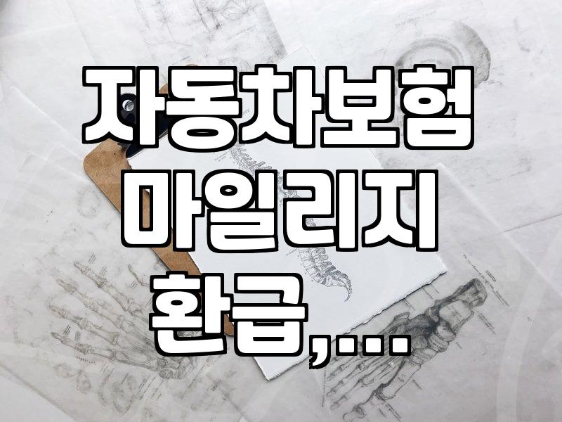 자동차보험, 주행거리 따라 보험료 환급받는 법과 알아두면 좋을 점들