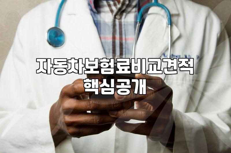 차량보험료계산 시 고려해야 할 실질적인 할인 요소와 산정 기준