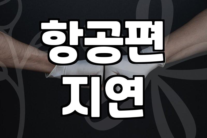 싱가포르여행자보험 가입 전 반드시 따져봐야 할 보장 범위와 체크리스트