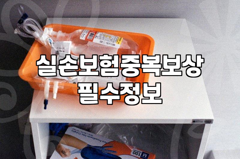 여행자보험 가족가입, 든든하게 챙기는 법