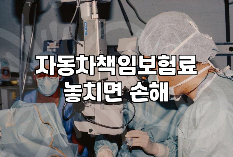 자동차 책임보험 가입 전 꼭 확인해야 할 현실적인 비용과 고려사항
