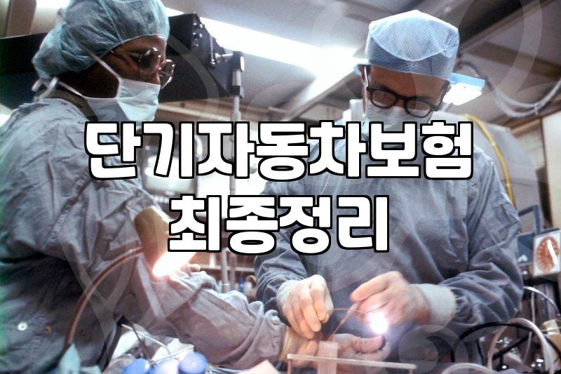 차하루보험 가입 전 꼭 확인해야 할 보장 범위와 비용 기준