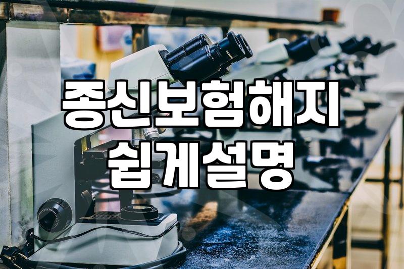 2010년형 종신보험, 지금 해지할지 유지할지 고민하는 분들에게