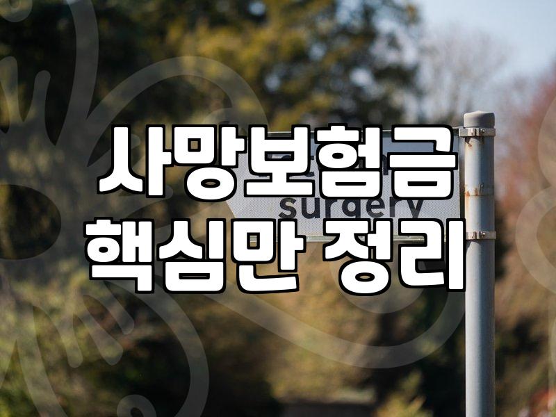 내게 꼭 맞는 생명보험, 이것만은 알고 가입하세요