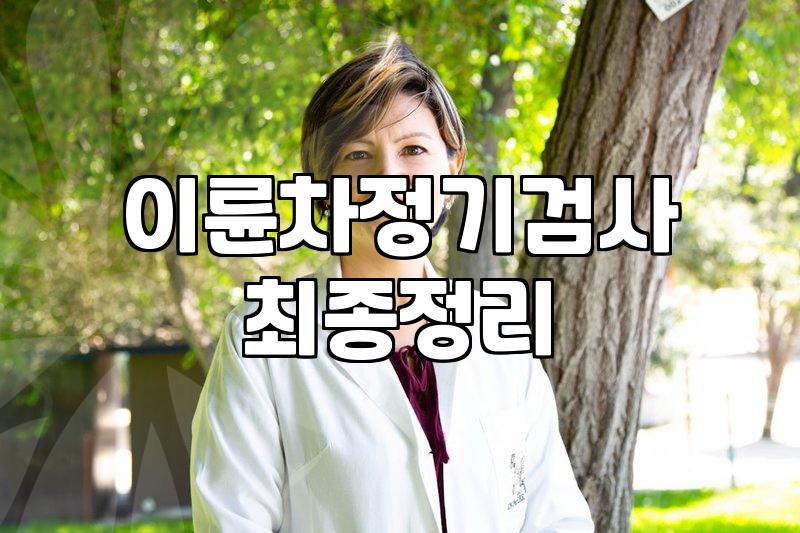 차량보험가입증명서 발급이 반드시 필요한 순간과 준비 방법
