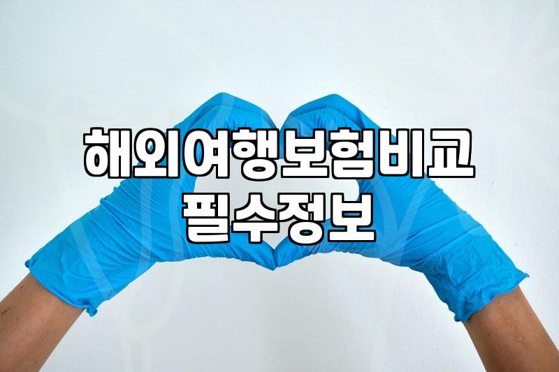 해외여행자보험, ‘가성비’만 따지다가 겪은 현실적인 고민들