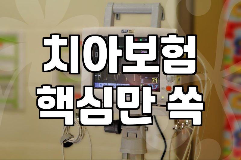 라이나생명보험 보장 범위와 가입 전 확인해야 할 주요 조건