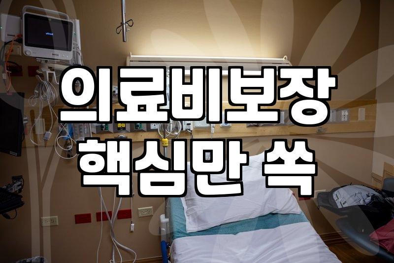 보홀여행자보험 가입 전 반드시 확인해야 할 실질적 체크리스트