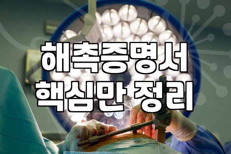 보험사 그만두고 나서 해촉증명서 한 장 받으려고 전화기를 몇 번이나 붙잡았는지 모른다