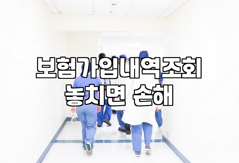 흩어진 내 보험 가입 내역 한 번에 조회하고 정리하는 방법