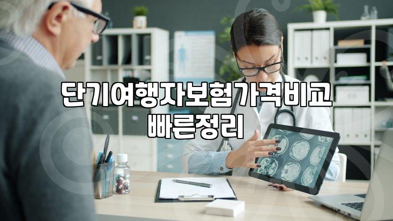 공항 구석에 서서 핸드폰으로 여행자보험 가입하려다 비행기 놓칠 뻔한 적이 있다