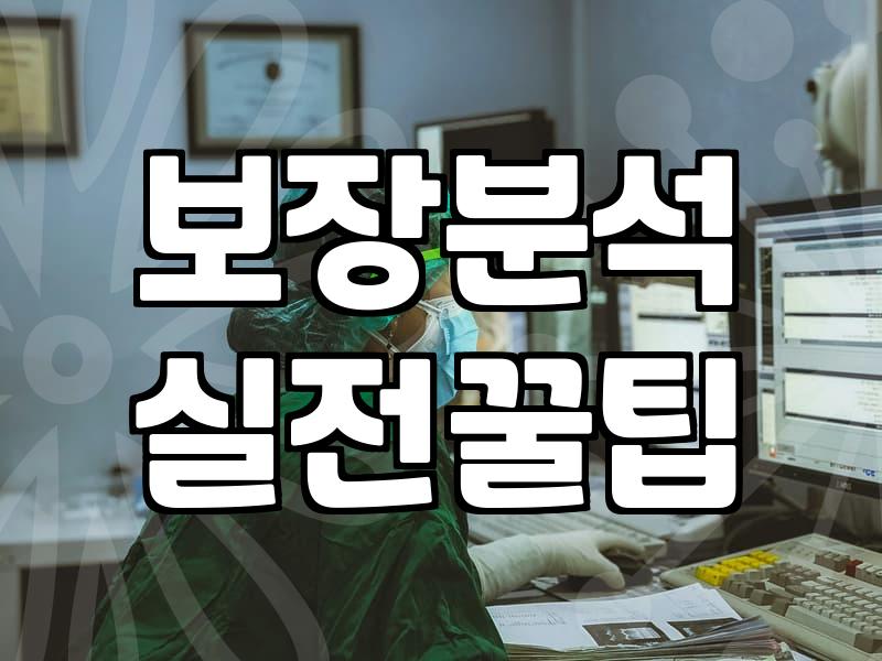 여러 보험사 상품을 꼼꼼히 따져보고 결정하는 현실적인 요령