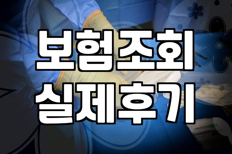 흩어진 내 보험 조회하고 적정 보험료 확인하는 과정