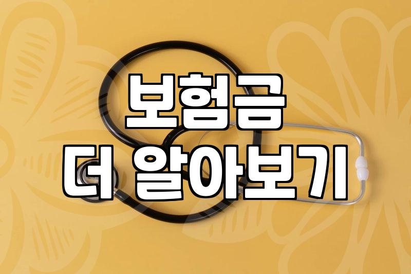 숨은 보험금까지, 내보험한눈에 확인하는 법