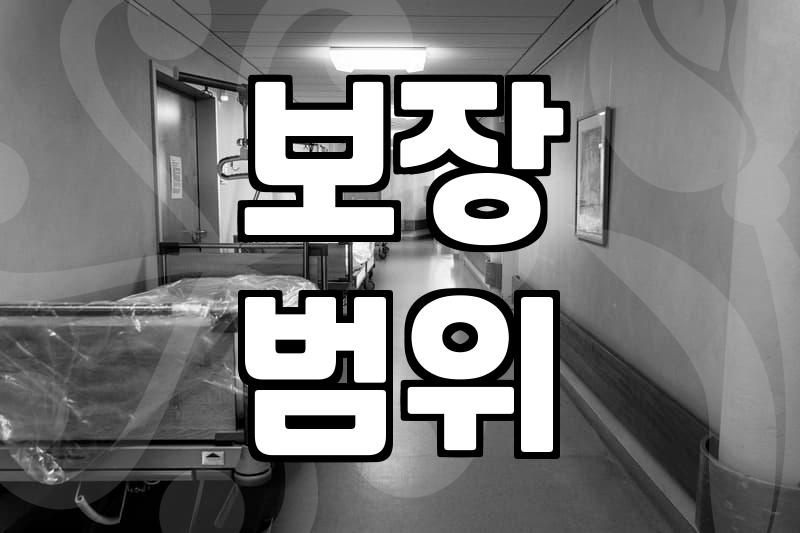 보험비교사이트 활용 전 반드시 알아야 할 현실적인 주의사항