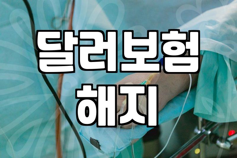 달러보험, 과연 환차익만 보고 가입하는 게 맞을까?