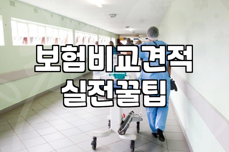 보험, 똑똑하게 가입하는 법: 경험자의 솔직한 이야기
