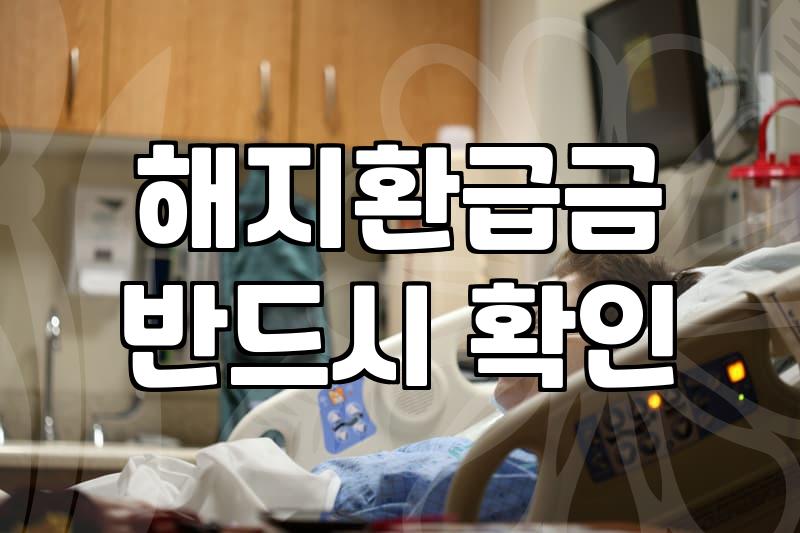 보험환급금 지급 시기와 해지 시 실제 수령액 기준