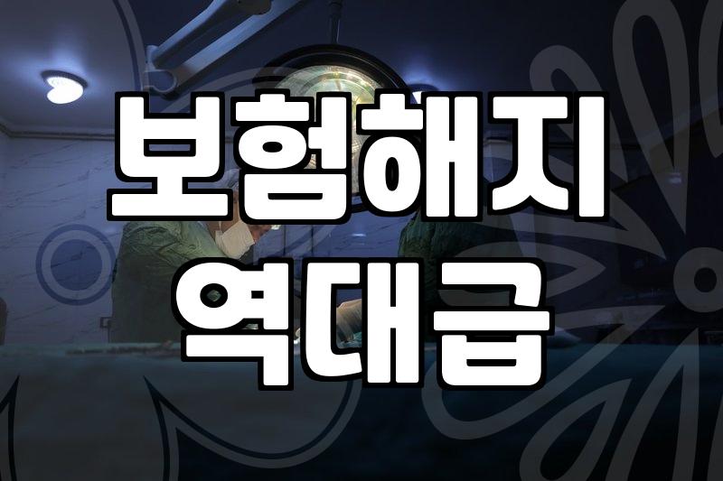 보험 어플 지우다가 발견한 예전 보험 내역들