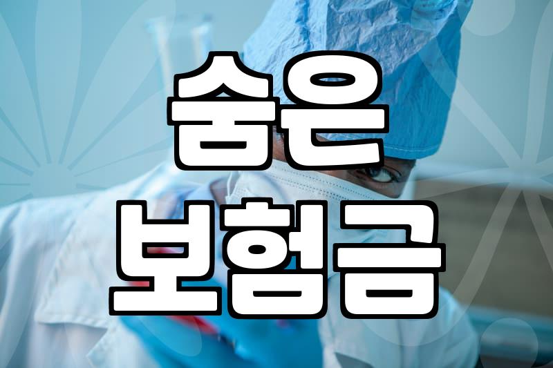 내 보험은 몇 개? 숨은 보험금 찾는 방법