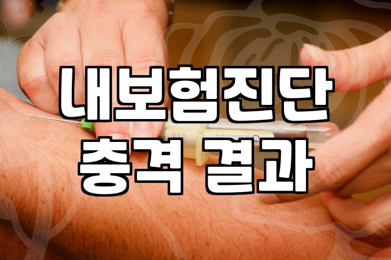 보험비교사이트 활용법과 조회 시 주의할 점