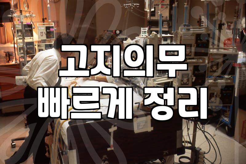 나에게 맞는 보험, 제대로 비교하는 법