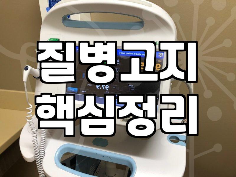 80세여행자보험 가입 전 반드시 따져봐야 할 현실적인 기준