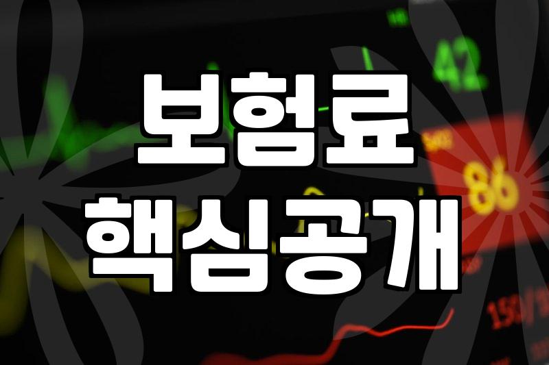 제주도 여행자보험, 꼭 챙겨야 할까요?