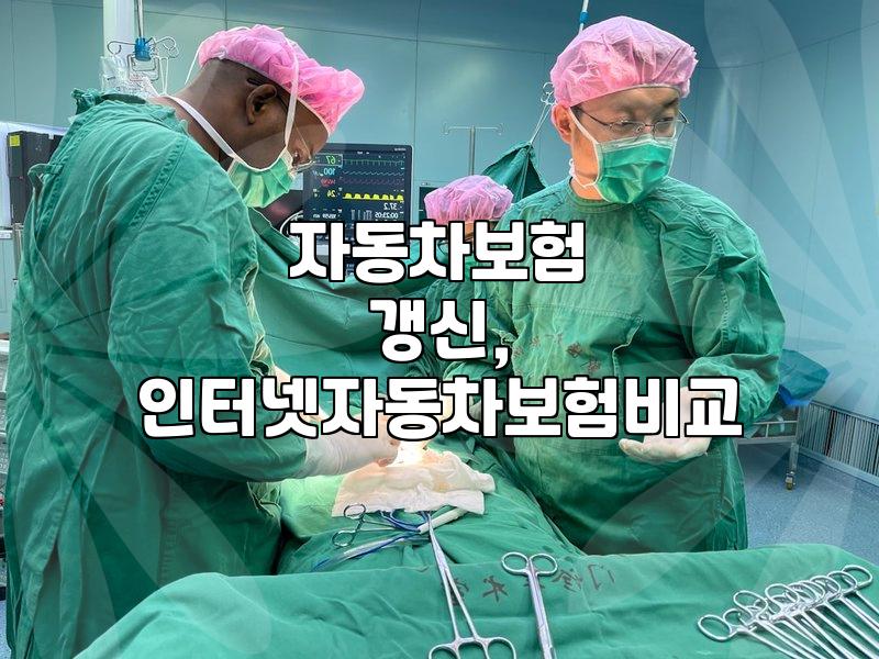 자동차보험 갱신, 꼭 필요한 특약일까? 경험자가 말하는 솔직 후기