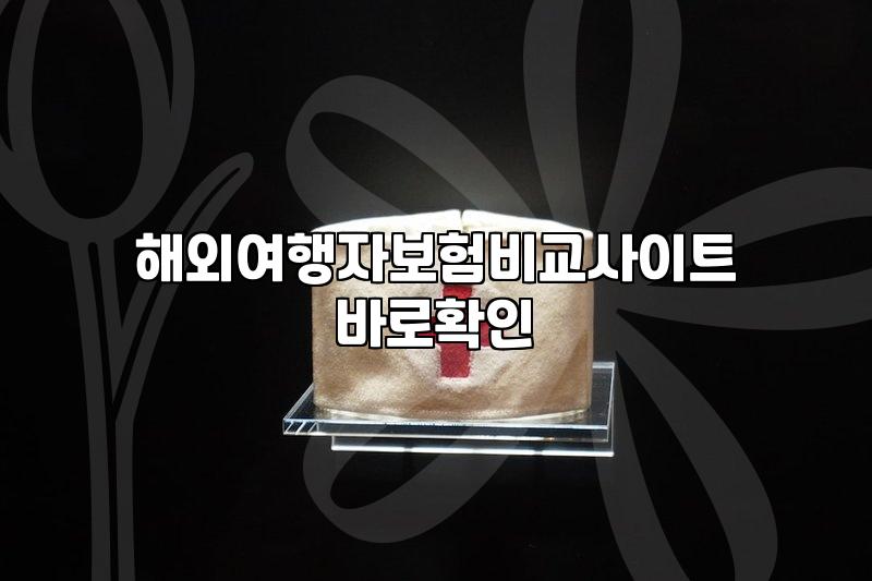 여행자보험비교 시 반드시 확인해야 할 보장 범위와 청구 조건
