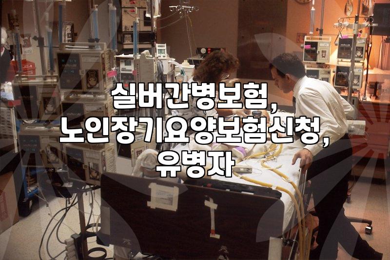 부모님 실버보험, 무작정 들면 후회해요 – 제 경험담