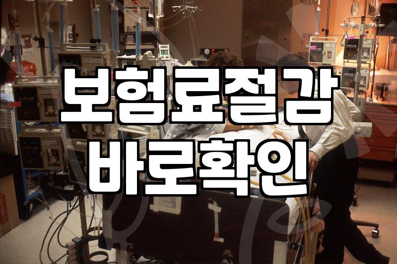 30대 직장인이 체감하는 실비 보험 유지의 현실과 고민