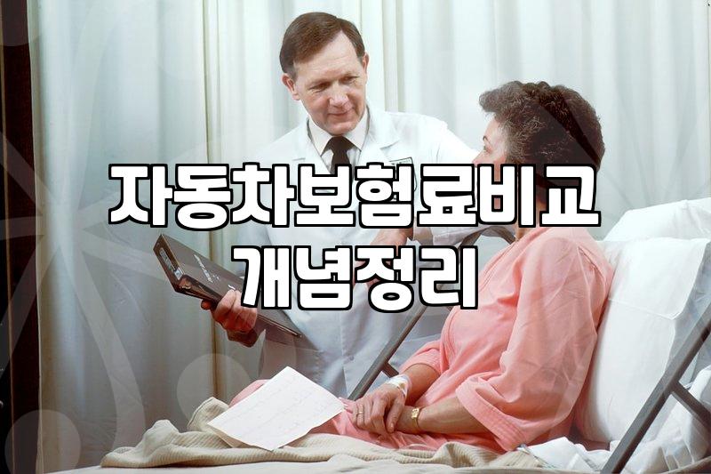 자동차 보험 갱신하려다 괜히 머리만 복잡해진 날