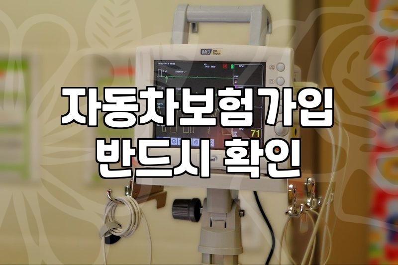 자동차보험무이자할부 활용하여 연간 납부 부담 줄이는 방법