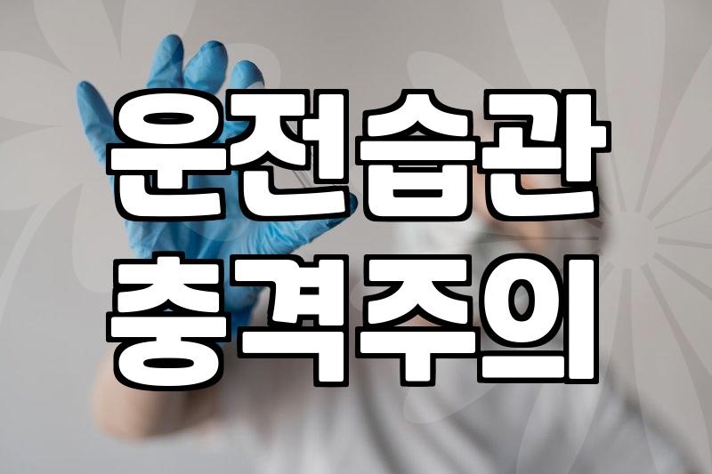 매년 반복되는 다이렉트자동차보험비교 무엇을 먼저 확인해야 할까