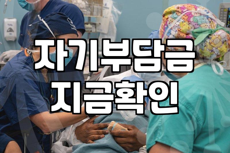 자동차보험료, 이걸 알아야 덜 낸다