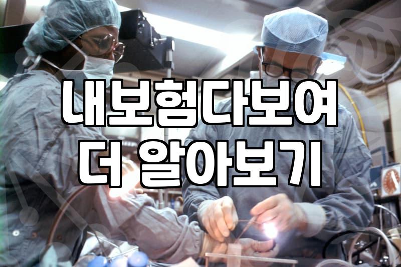 도대체 내가 뭘 들었는지 기억이 안 나서 시작한 보험 정리