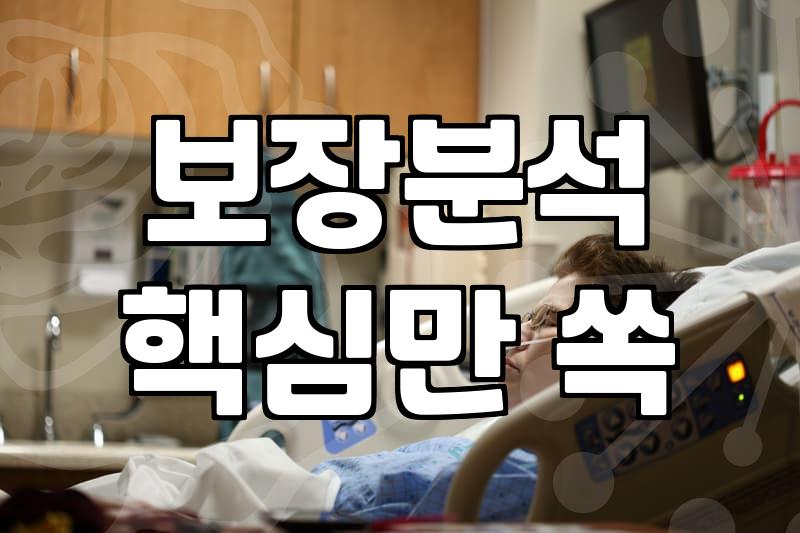 내보험보기 서비스로 숨겨진 계약과 보장 내역 한눈에 파악하는 법