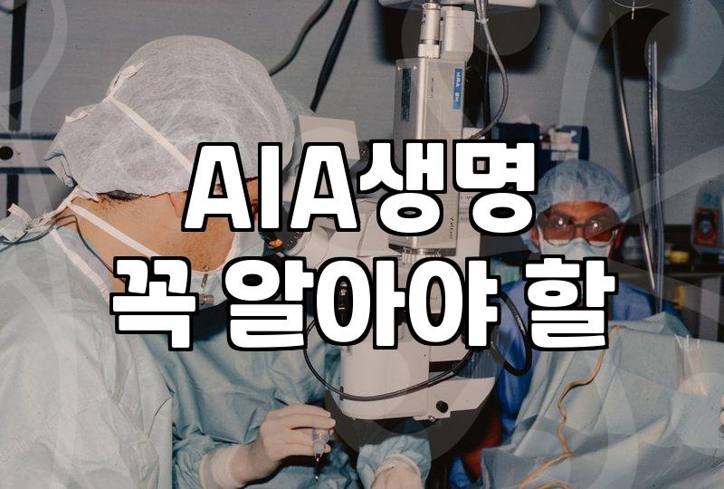 AIG생명보험 계약 인수 과정과 현재 국내 남은 영향