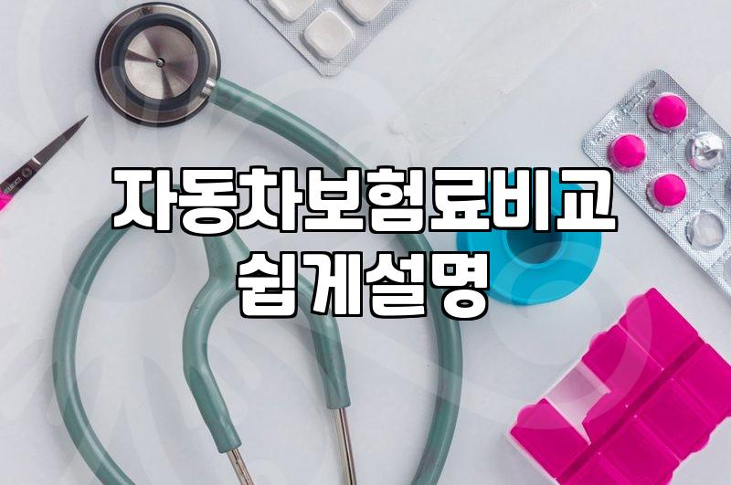 리스나 중고차를 살 때 자동차 보험료 미리 따져봐야 하는 이유