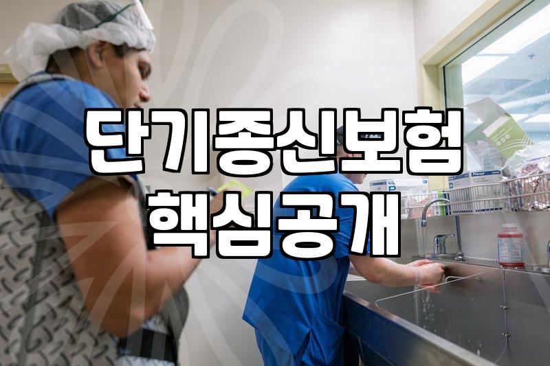 단기납 종신보험, 7년납 같은 짧은 납입기간 상품 특징과 주의점