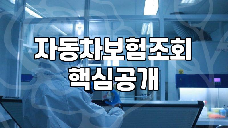 자동차보험가입확인 방법과 놓치기 쉬운 필수 체크사항