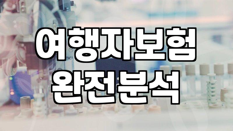 국내여행자보험가격비교 시 반드시 확인해야 하는 보장 범위와 비용