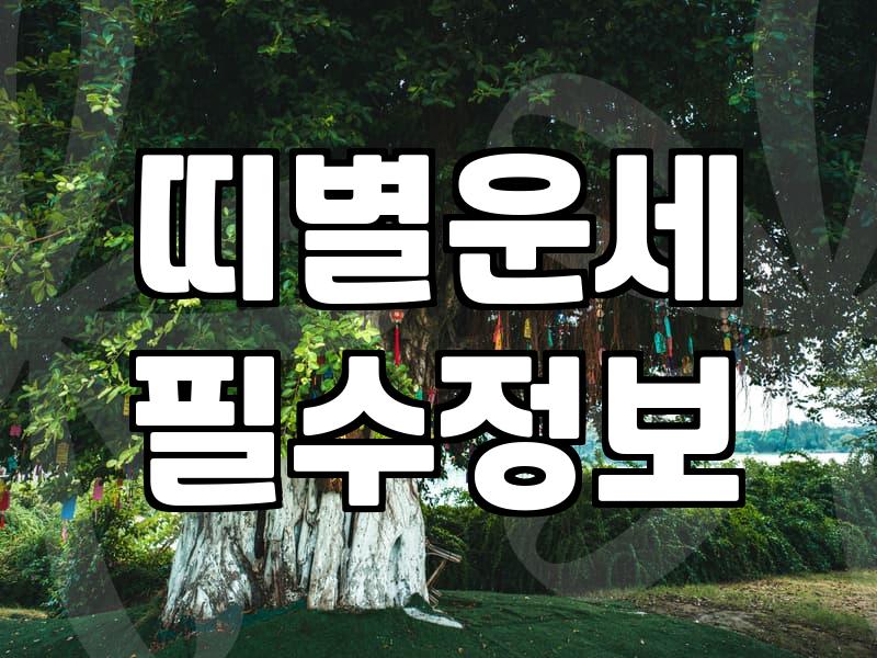 내일운세 확인하는 시간대와 결과를 해석하는 기준